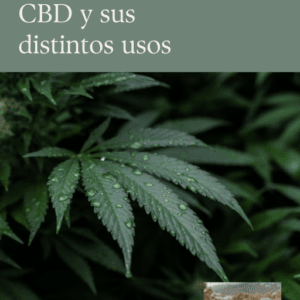 Formación CBD
