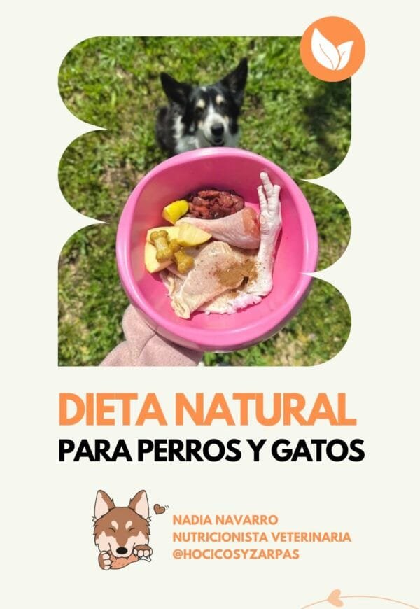 eBook: dieta natural cruda y cocinada para perros y gatos