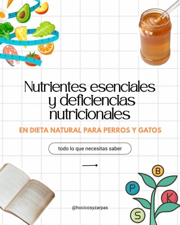 Guía completa de nutrición natural sin deficiencias para perros y gatos
