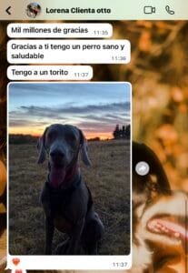 TESTIMONIO