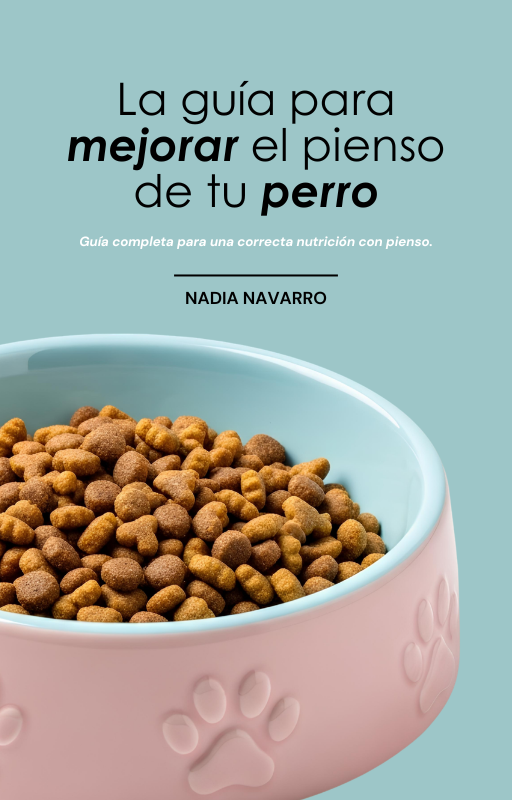 Guía: Cómo mejorar la alimentación de tu perro sin dejar el pienso