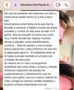 Mensaje de una clienta contando la mejoría de su peludo
